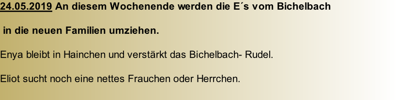 24.05.2019 An diesem Wochenende werden die E´s vom Bichelbach   in die neuen Familien umziehen.  Enya bleibt in Hainchen und verstärkt das Bichelbach- Rudel.  Eliot sucht noch eine nettes Frauchen oder Herrchen.