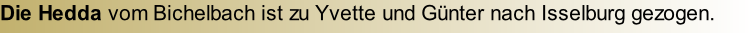 Die Hedda vom Bichelbach ist zu Yvette und Günter nach Isselburg gezogen.
