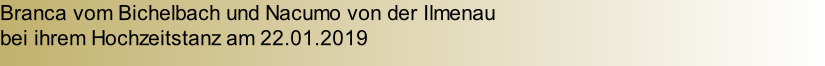 Branca vom Bichelbach und Nacumo von der Ilmenau  bei ihrem Hochzeitstanz am 22.01.2019