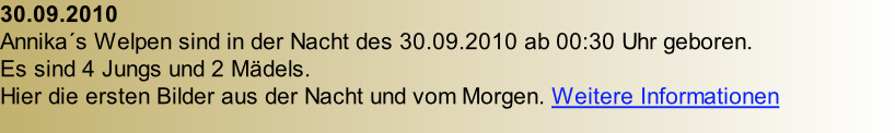 30.09.2010 Annika´s Welpen sind in der Nacht des 30.09.2010 ab 00:30 Uhr geboren. Es sind 4 Jungs und 2 Mädels. Hier die ersten Bilder aus der Nacht und vom Morgen. Weitere Informationen