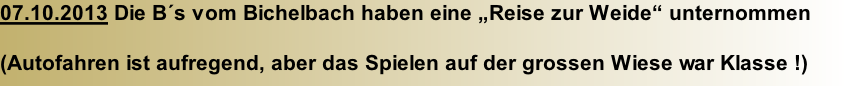 07.10.2013 Die B´s vom Bichelbach haben eine „Reise zur Weide“ unternommen  (Autofahren ist aufregend, aber das Spielen auf der grossen Wiese war Klasse !)