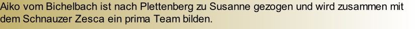 Aiko vom Bichelbach ist nach Plettenberg zu Susanne gezogen und wird zusammen mit dem Schnauzer Zesca ein prima Team bilden.