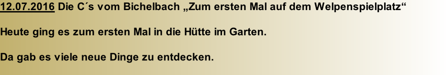 12.07.2016 Die C´s vom Bichelbach „Zum ersten Mal auf dem Welpenspielplatz“  Heute ging es zum ersten Mal in die Hütte im Garten.  Da gab es viele neue Dinge zu entdecken.