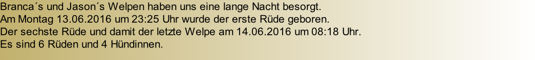 Branca´s und Jason´s Welpen haben uns eine lange Nacht besorgt.  Am Montag 13.06.2016 um 23:25 Uhr wurde der erste Rüde geboren.  Der sechste Rüde und damit der letzte Welpe am 14.06.2016 um 08:18 Uhr.   Es sind 6 Rüden und 4 Hündinnen.