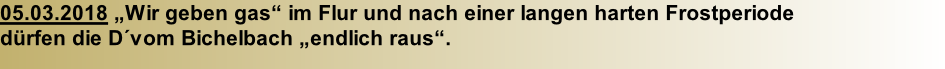 05.03.2018 „Wir geben gas“ im Flur und nach einer langen harten Frostperiode     dürfen die D´vom Bichelbach „endlich raus“.