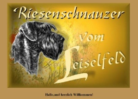 Link zur Homepage der Riesen vom Leiselfeld